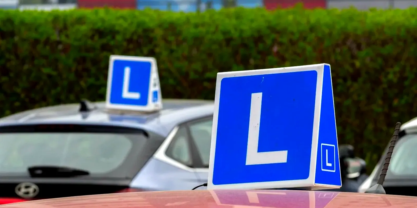 Lesauto's met blauw L-bord, het doel van de cursus auto theorie voor moeilijk lerende